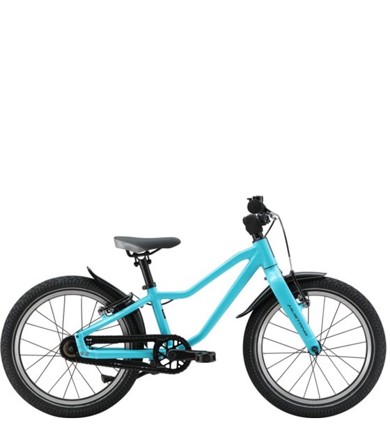 Bicicletta per Bambini Mustang Fury 2.0 - 18 Pollici, turkis