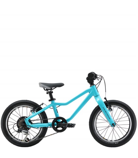 Bicicletta per Bambini Mustang Fury 2.0 - 16 Pollici, Turchese